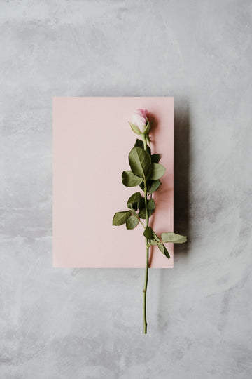Minimalist flat lay in soft pastel pink and warm beige — calm, considered choice.