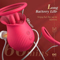 Detachable Clitoral and Nipple Suckers with 3 - in - 1 - product detail image
