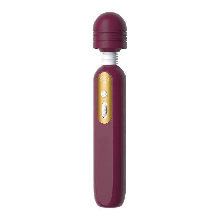 Women’s Intimate Vibrator  9 Variable Adjustable Vibration Speeds, Digital Display Screen, Gentle Warming Function, Discreet Low-Noise Operation, Hypoallergenic Skin-Safe Silicone Materia