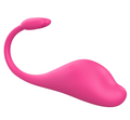 Whale Shaped Wireless Remote Control Egg - Jumping - product image