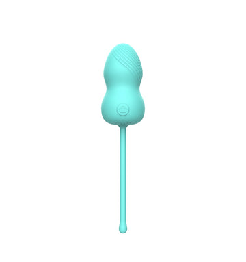 Invisible Wearable Egg Vibrator, Wireless Remote Control, Personal Intimate Toy for Women