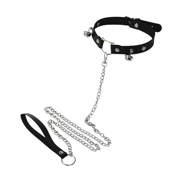 Leather buckle collar with rivet accents and polished metal chain leash