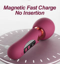 Elizabeth Wand Vibrator - detail view