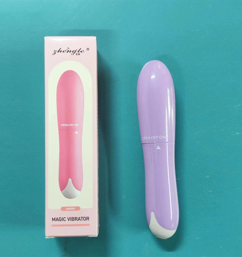 Quiet Mini Dolphin Vibrator - alternate view