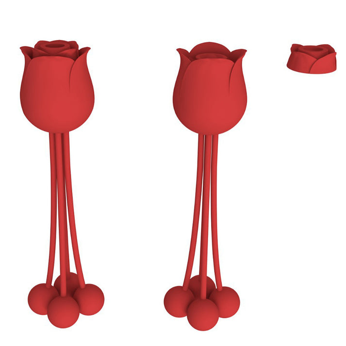 2-in-1 Rose Egg Vibrator with Suction & Multi-Function Beads