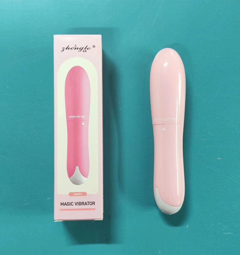 Quiet Mini Dolphin Vibrator - product image