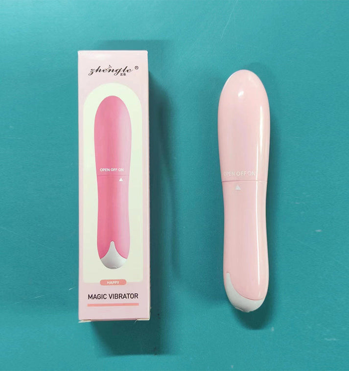 Quiet Mini Dolphin Vibrator