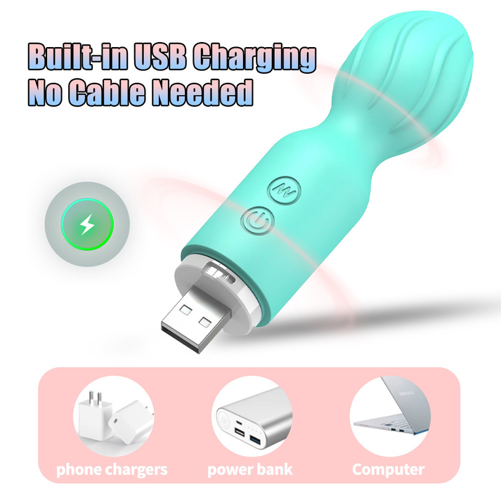 Mini Series Vibrating Wand Massager ( ) - detail view
